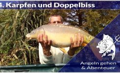 Wels Fisch Video