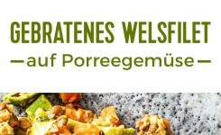 Wels Fisch Essen Gesund