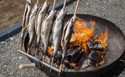 welches-fischfilet-grillen_ceeb89343.jpg